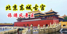 黄片骚逼片中国北京-东城古宫旅游风景区